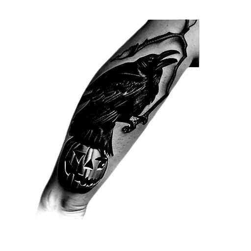 A Raven On A Pumpkin