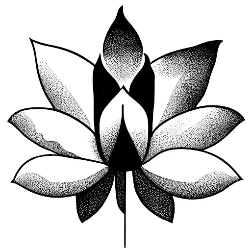 Lotus Flower With Despite It All In The Stem