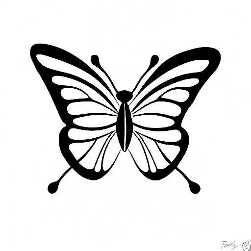 Butterfly In Fine Line Style