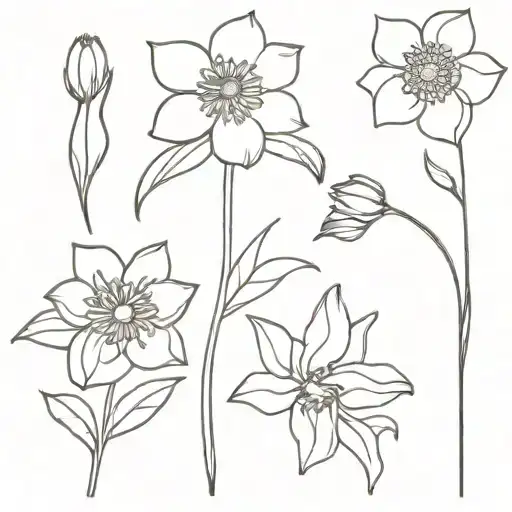 Marigold Daisy And Daffodil