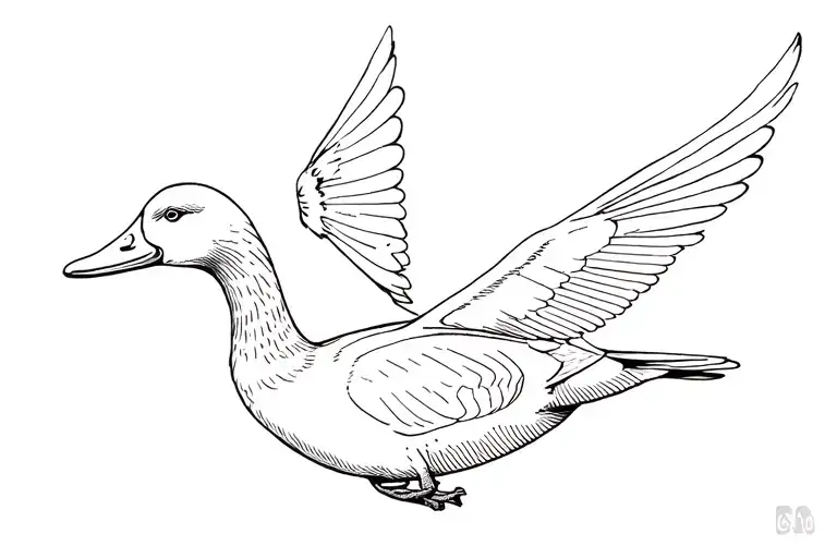 Guy Drinling Coors Hunting Ducks