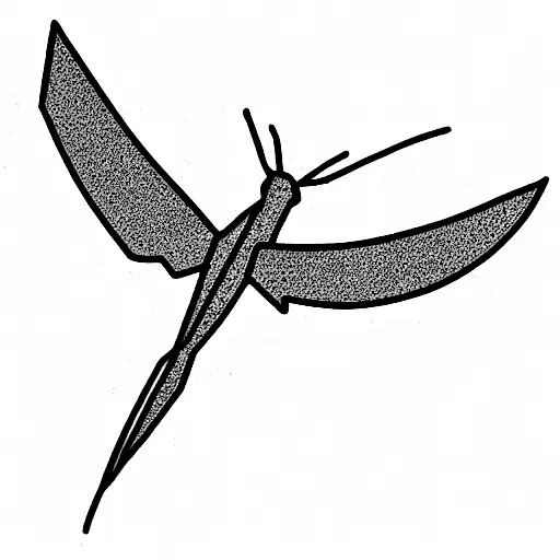 Dove And Prarying Mantis Line Drawing