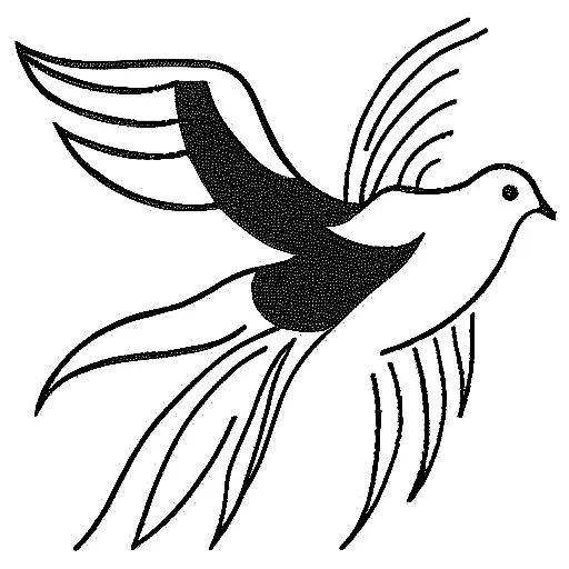 Dove Line Drawing