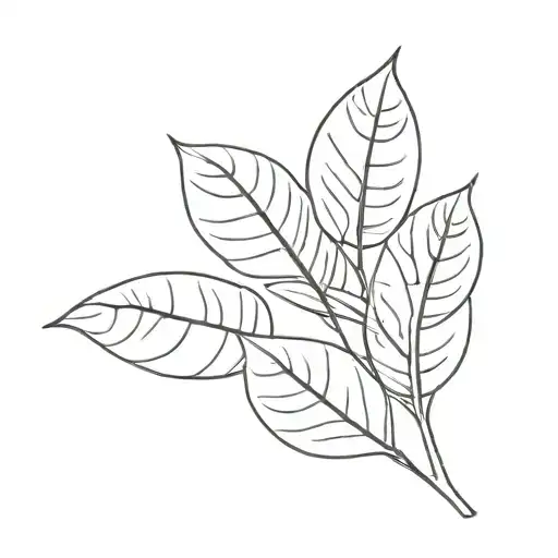 Eucalyptus Leaf With Word