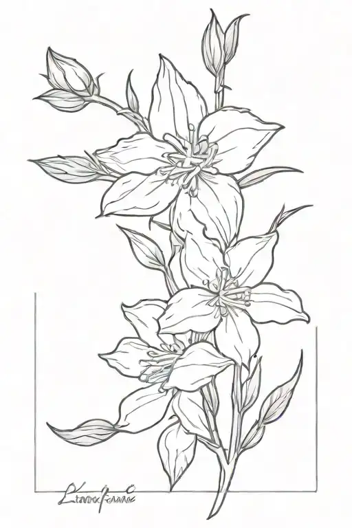 Larkspur Flowers Fine Line