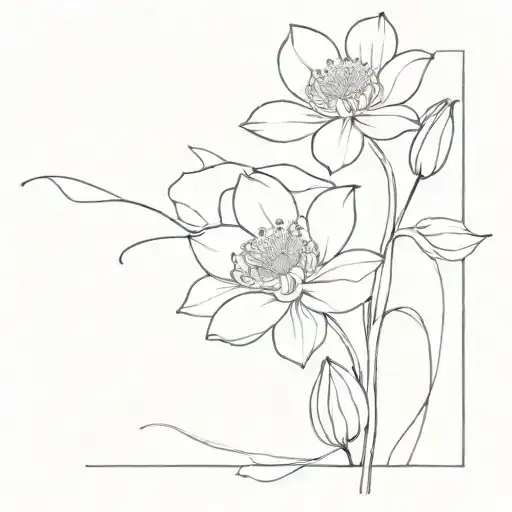 Primrose Water Lilly Poppy Flowers Vine No Leaves