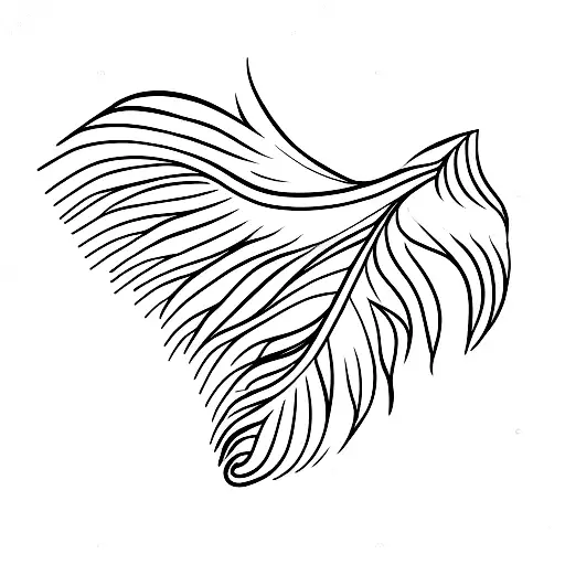 A Bird's Feather