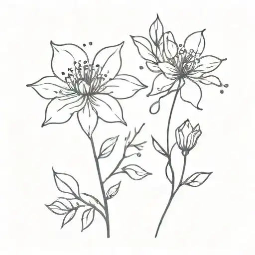 April Birth Flower With Constellation