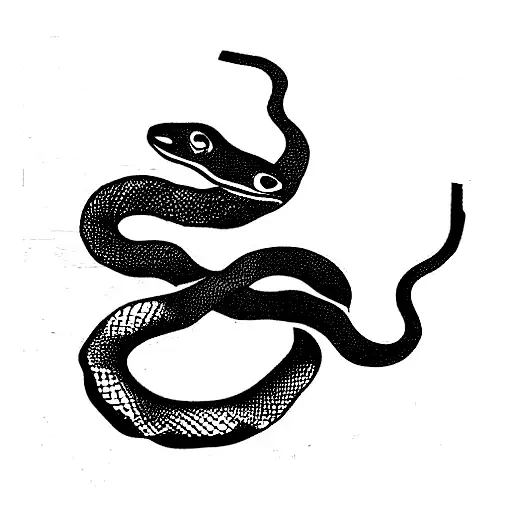 Snake Wrapped Around Gun