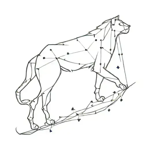 Leo Constellation