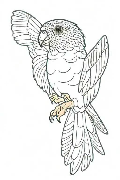 Green Cheek Conure Bird Flying Away