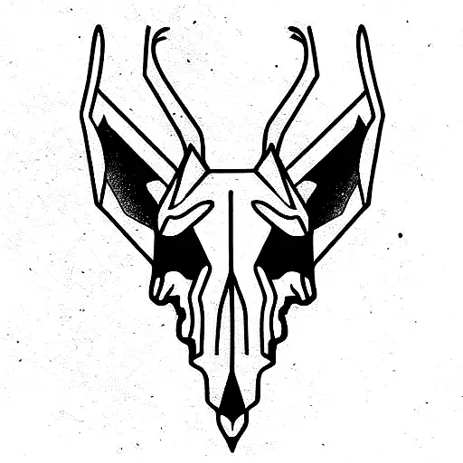 Artistic Animal Spooky