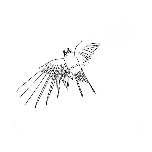 A Bird Flying In The Dark