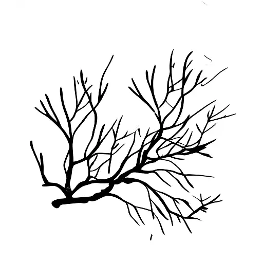 Harry Styles Playing A Guitar Made Of Branches And Leaves In A Serene Natural Setting