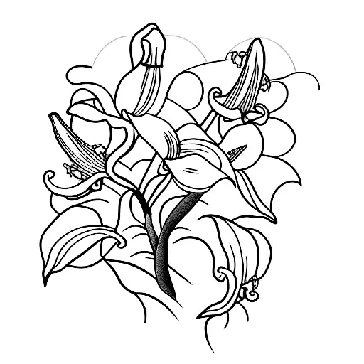 Mountain Lily Of The Valley