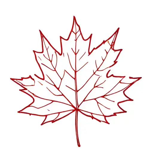Canada Inspired Tattoo Featuring Maple Leaf And Sussex