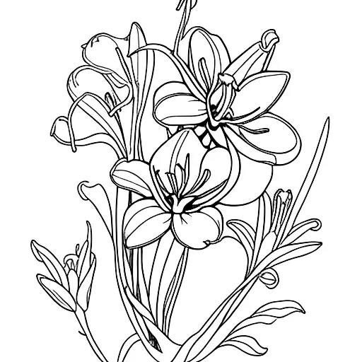 Carnation Violet Narcissus Lily Of The Valley Aster Marigold