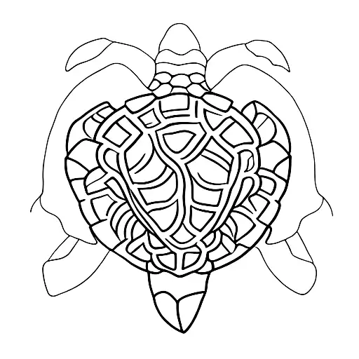 Turtle In Back Women