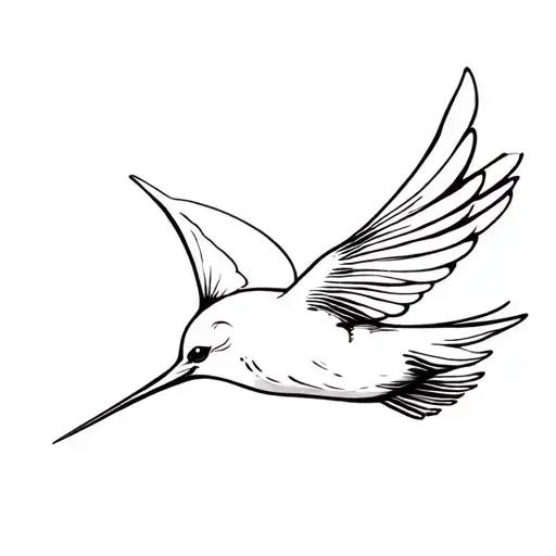 Swallows Bird Flying