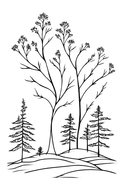 Nature Elements Like Trees