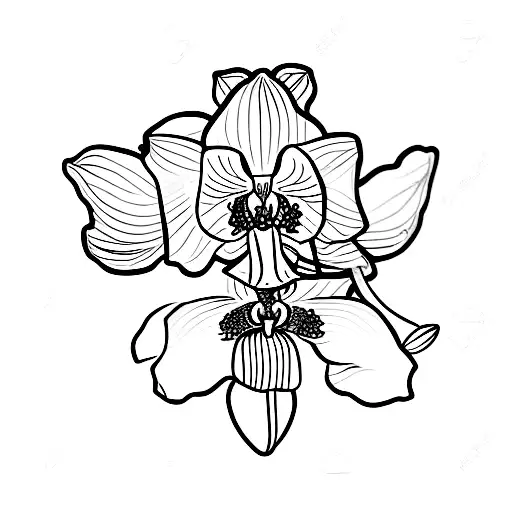 Orchid With Heartbeat