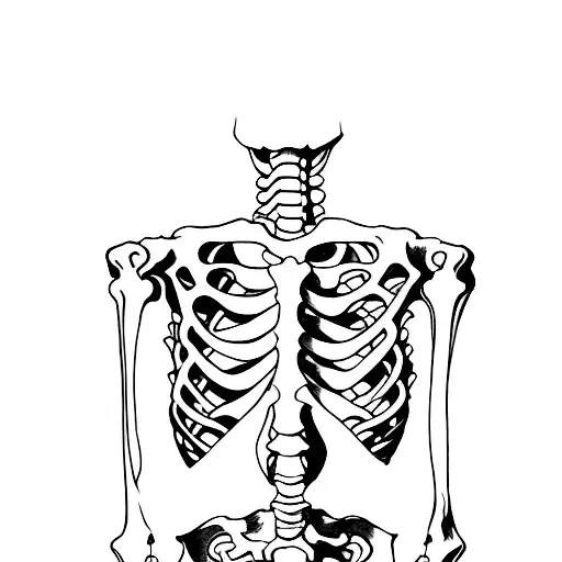 Skeleton Rib Cage With Arms
