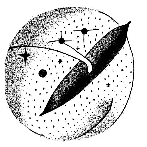 A Representation Of Friendship In The Form Of A Universe