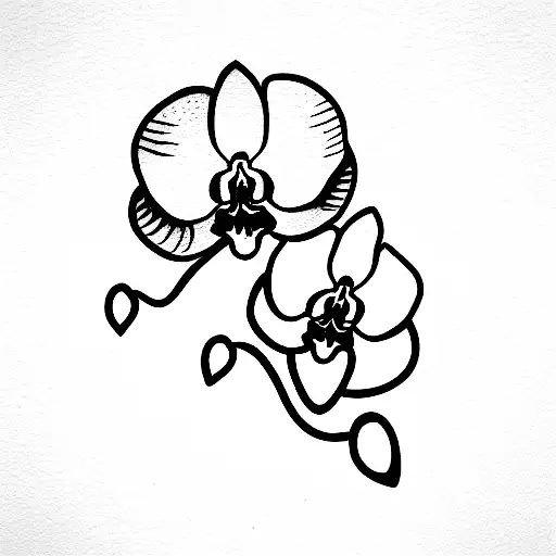 Orchid 7