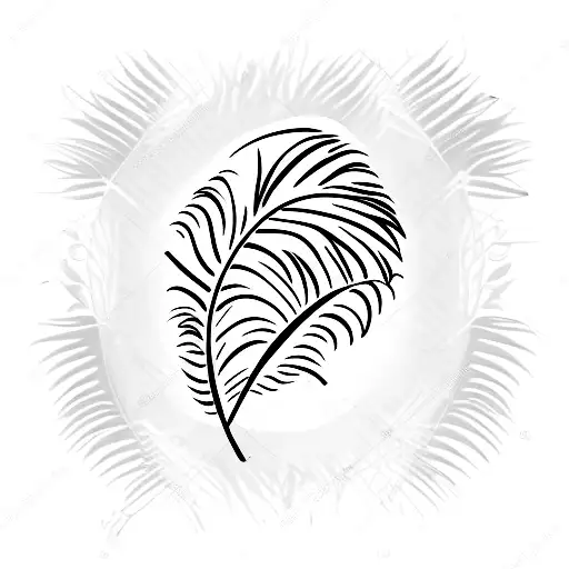 African Grey Feather