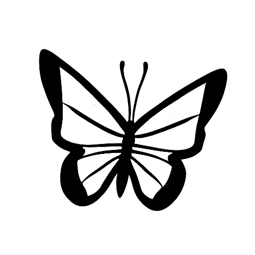 Butterfly With Initial N