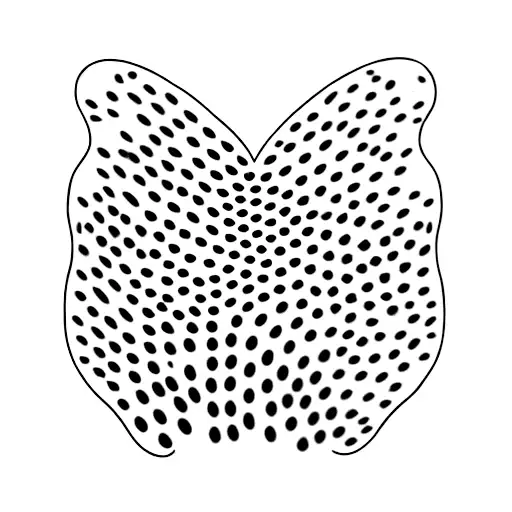 Dog Paw Print And Two Cat Paw Prints