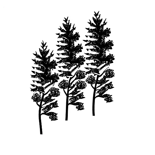 Pine Tree With Roses