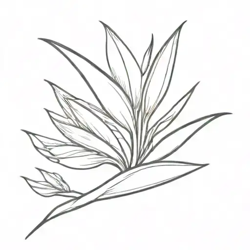 Bird Of Paradise Flower