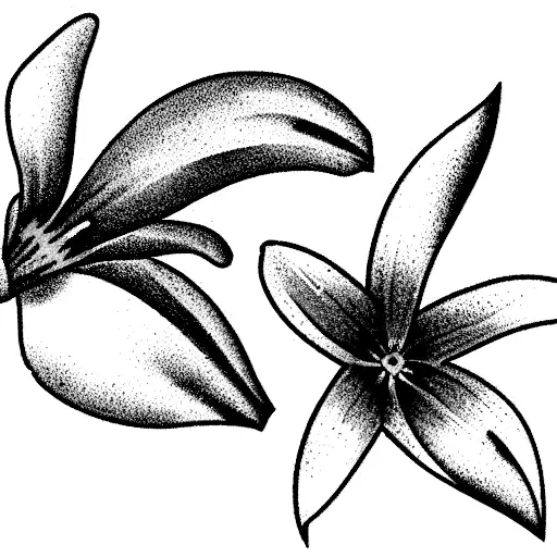 Daffodil Daisy Larkspur Aster Bouquet