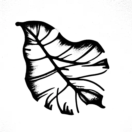 Monstera Leaf In Shape Of Hawaiian Islands
