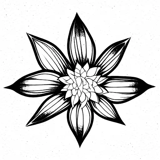 Half Moon Double Infinity Dahlia