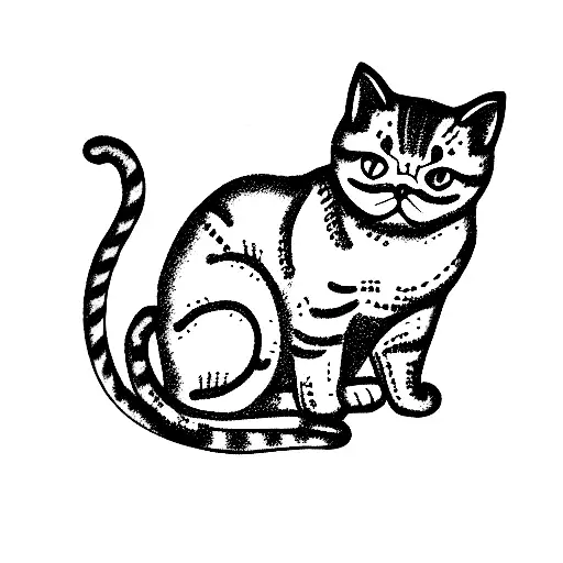 British Shorthair Cat 4 Of Them