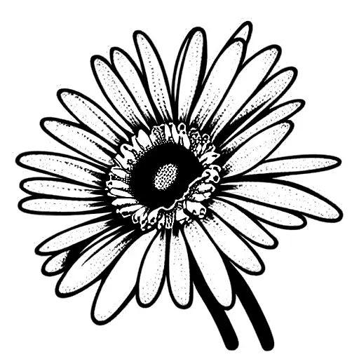 Daisy And Echanacea Bouquet