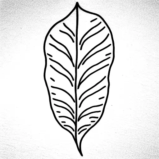 Leaf