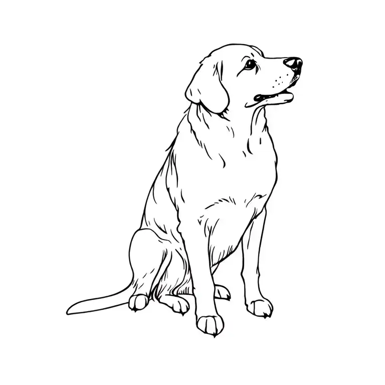 Female Golden Retriever Standing Profile View