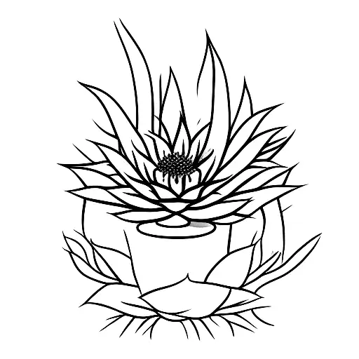 Cactus That Grows A Flower