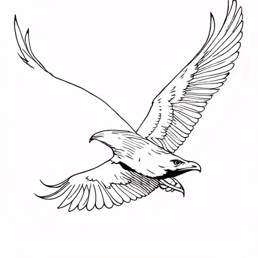 Flying Hawk Without Face