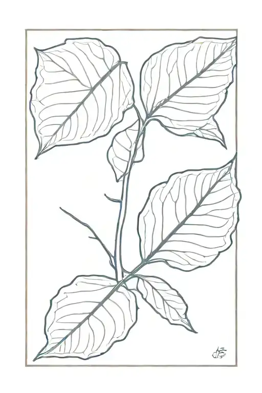 A Minimal Aspen Leaf In Rectangular Frame
