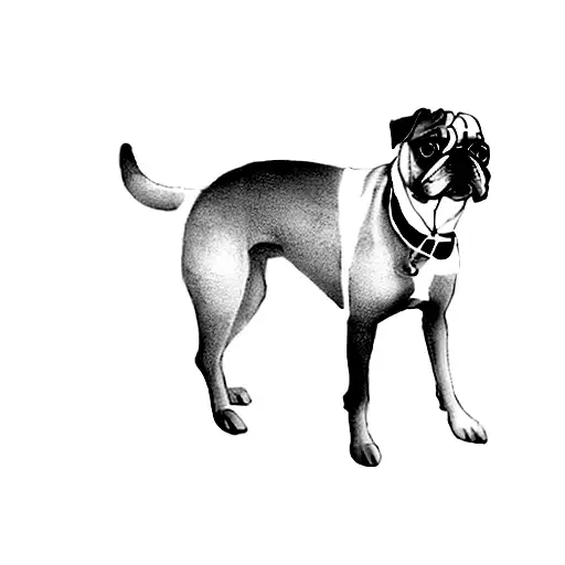 A Dog Standing On A Black Background