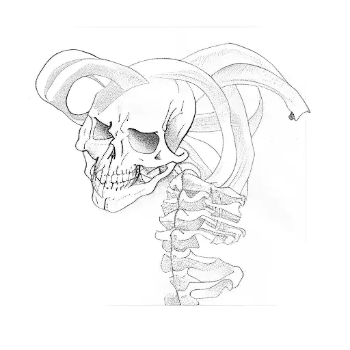 A Skeleton With Horns