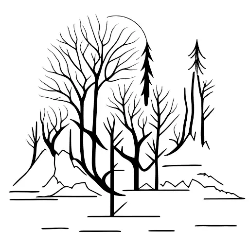 Nature Forest Mountain