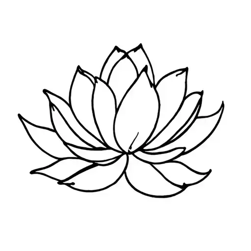 Lotus And Primrose Flower