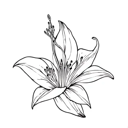 Tiger Lily Fine Line