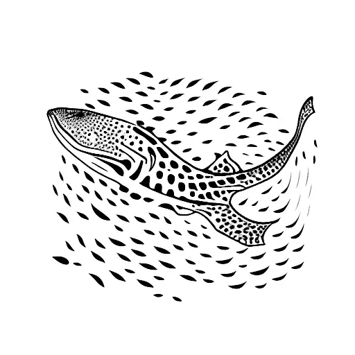 Whale Shark And Killer Whale