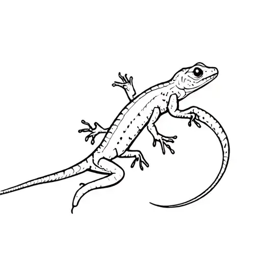 Gecko With Tail Broken Off